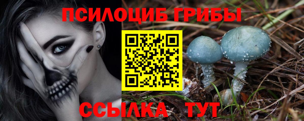 КОКАИН  NBOMe  Где найти наркотики?  Вход с VPN  Мефедрон кристаллы  Дмитров  ГАШ 