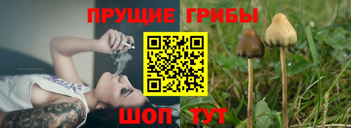 Галлюциногенные грибы MAGIC MUSHROOMS  Псилоцибиновые грибы ЛСД  Дмитров  Вход с VPN 
